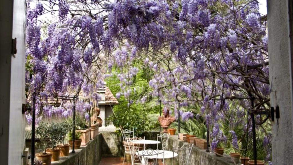 Locanda Sant' Agostino Apartment Lucca Exterior photo